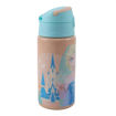 Picture of Disney Frozen Aluminum Water Bottle 500ml